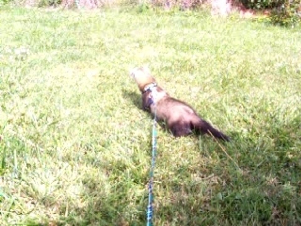 Max dans le jardin