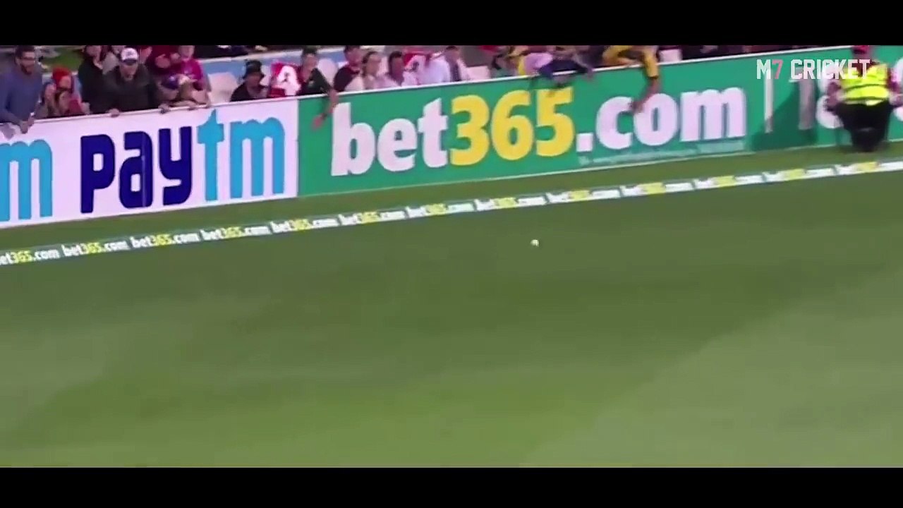 Cricket Funny videos #2
