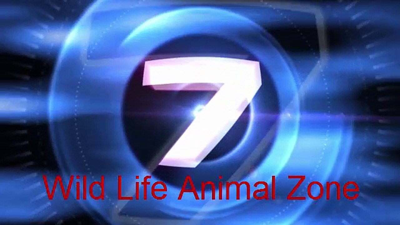 Leopard Mother and Cub -5th June 2016- Video Dailymotion