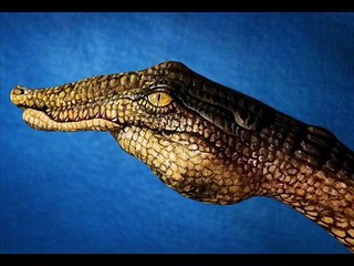 Animal faces show on hand painting amazing ideas