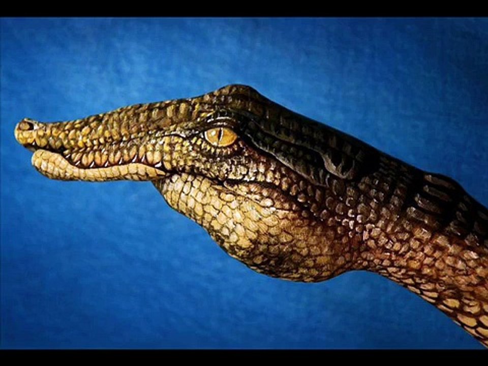 Animal faces show on hand painting amazing ideas