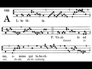 Alleluia Venite ad me, Dominica XIV TpA (14è TO)