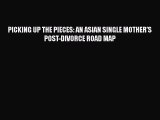 PDF PICKING UP THE PIECES: AN ASIAN SINGLE MOTHER'S POST-DIVORCE ROAD MAP EBook