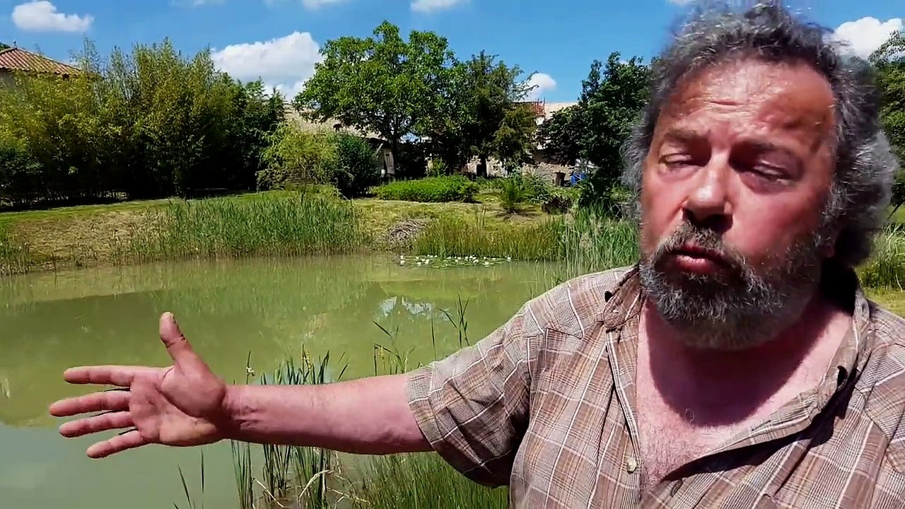 La marre aux grenouille