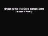 PDF Through My Own Eyes: Single Mothers and the Cultures of Poverty EBook