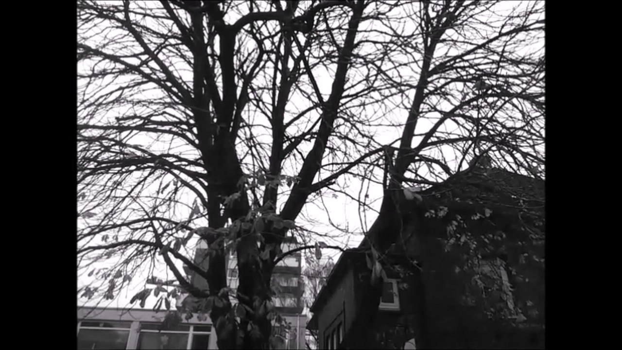 Timelapse Zeitraffer - Pinneberg City November 2015 /Full Film/Complete Movie/Ganzer Film