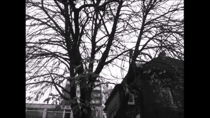 Timelapse Zeitraffer - Pinneberg City November 2015 /Full Film/Complete Movie/Ganzer Film
