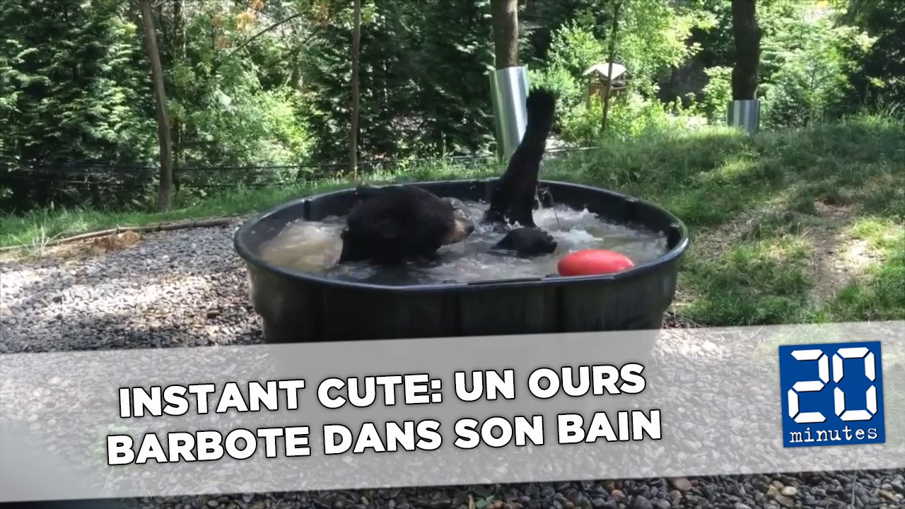 Instant cute: Un ours barbote dans son bain
