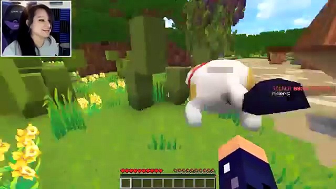 Aphmau minecraft : Cowboy Cats!   Neko Atsume! Minecraft Hide and Seek