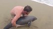 Il sauve un dauphin et devient un héros pour les internautes