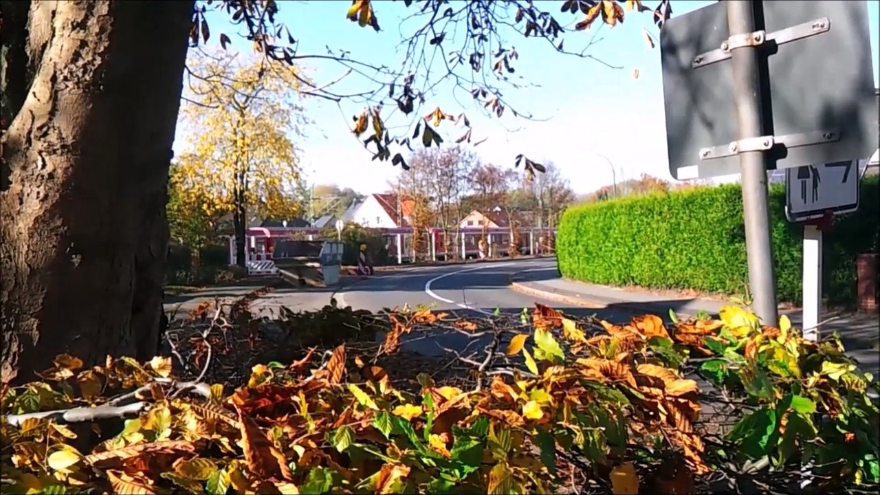Timelapse Zeitraffer - Zwischen Thesdorf und Pinneberg November 2015 /Full Film/Complete Movie/Ganzer Film