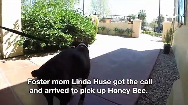 Èstato Abbandonato A 8 Anni E Mezzo... Ma La Vita Gli Riserva Ancora Delle Sorprese!