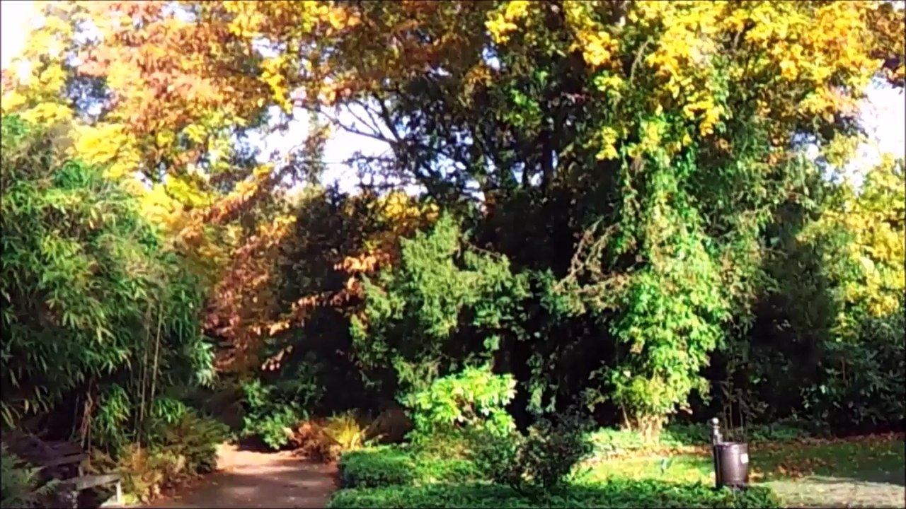Timelapse Zeitraffer - Pinneberg Rosengarten Oktober 2015 /Full Film/Complete Movie/Ganzer Film