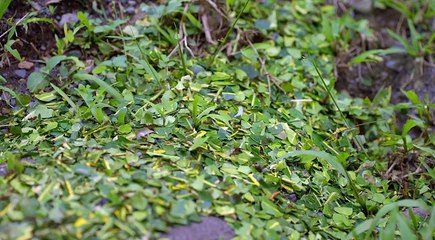 Energizing Our World (2016) Trailer -