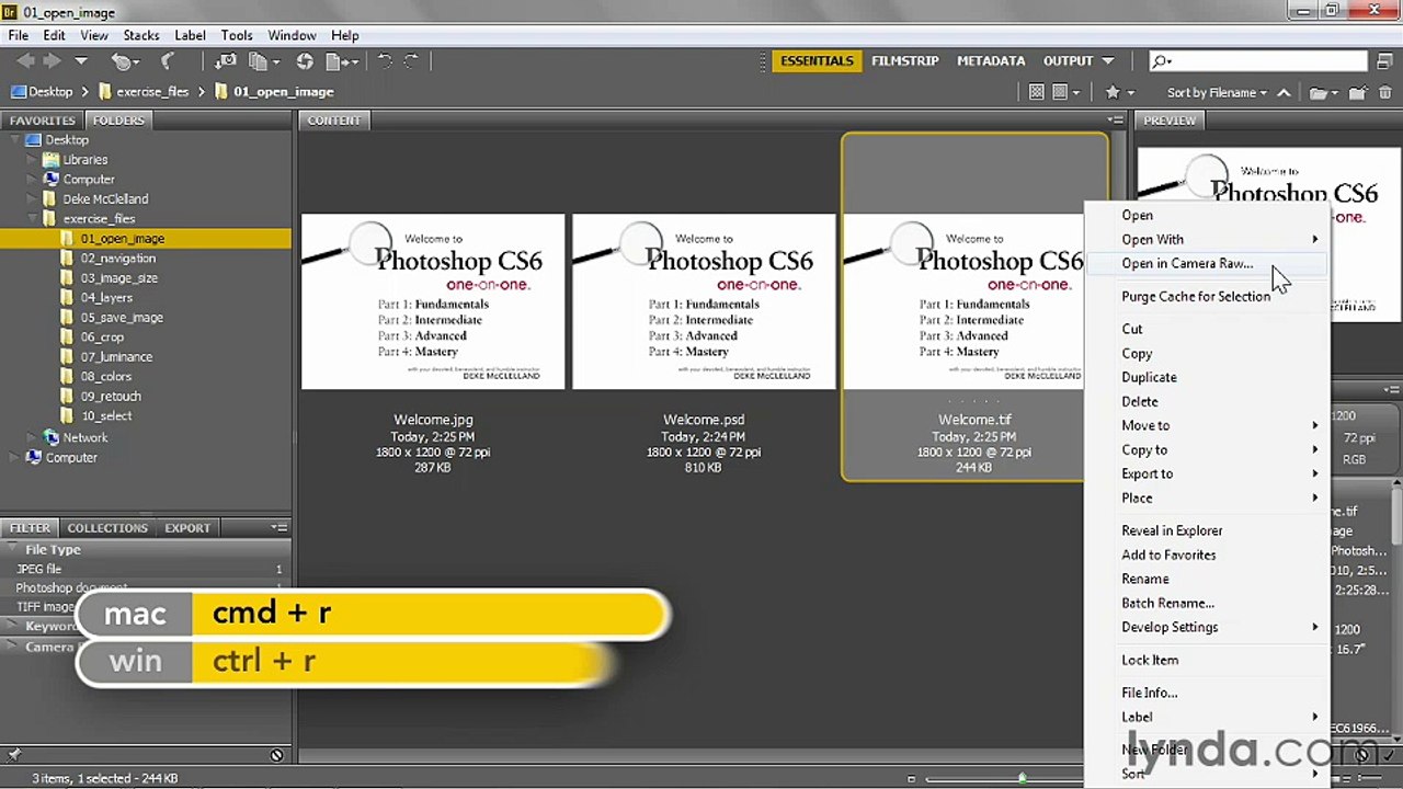 Photoshop CS 6 tutorial | 1-6 Opening an image through Camera Raw