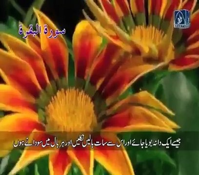 گانا تو ہر کوئی شیئر کرتا ہے اب پتہ چلے گا کہ اس خوبصورت تلاوت کو کون شیئر کریگا...