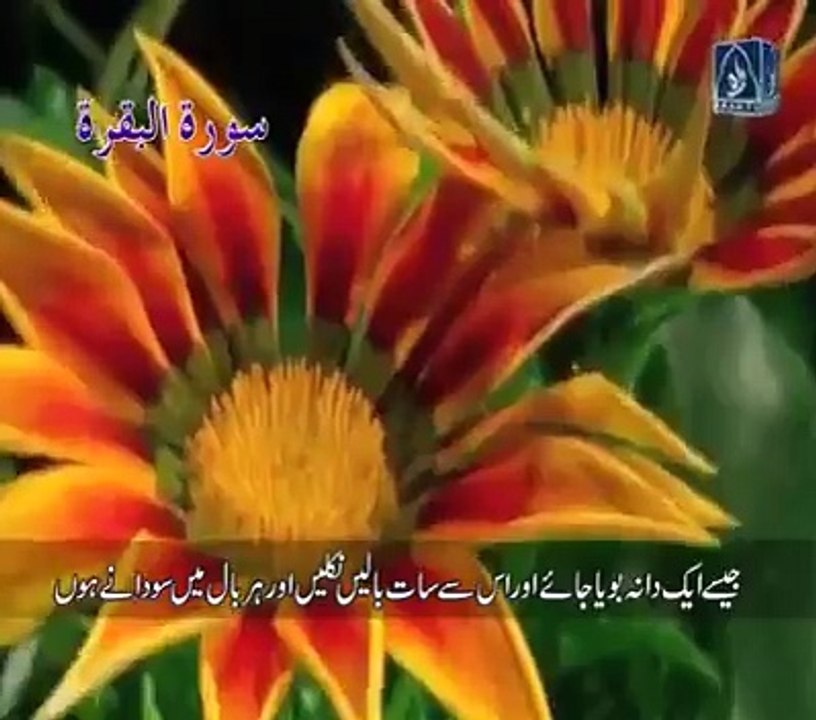 گانا تو ہر کوئی شیئر کرتا ہے اب پتہ چلے گا کہ اس خوبصورت تلاوت کو کون شیئر کریگا...