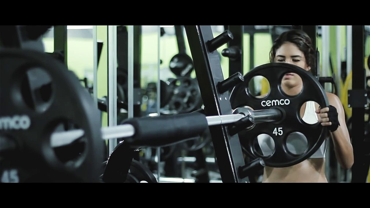 Olympic Bumper Plates