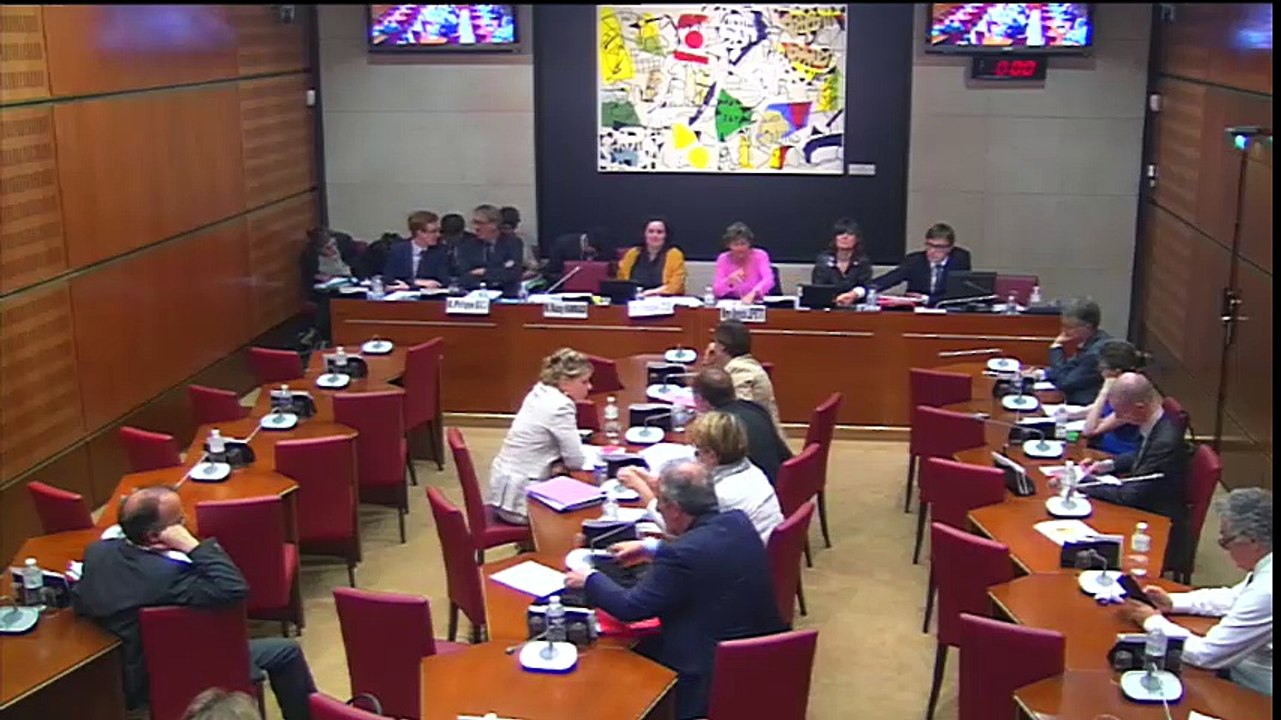 commission spéciale sur le projet de loi égalité et citoyenneté audition d'Emmanuelle Cosse