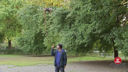 Teasing Dogs With a Drone