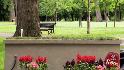 Teleporting Dog Bone Prank