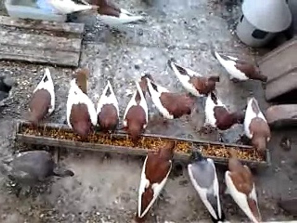 video-2012-07-06-15-26-28