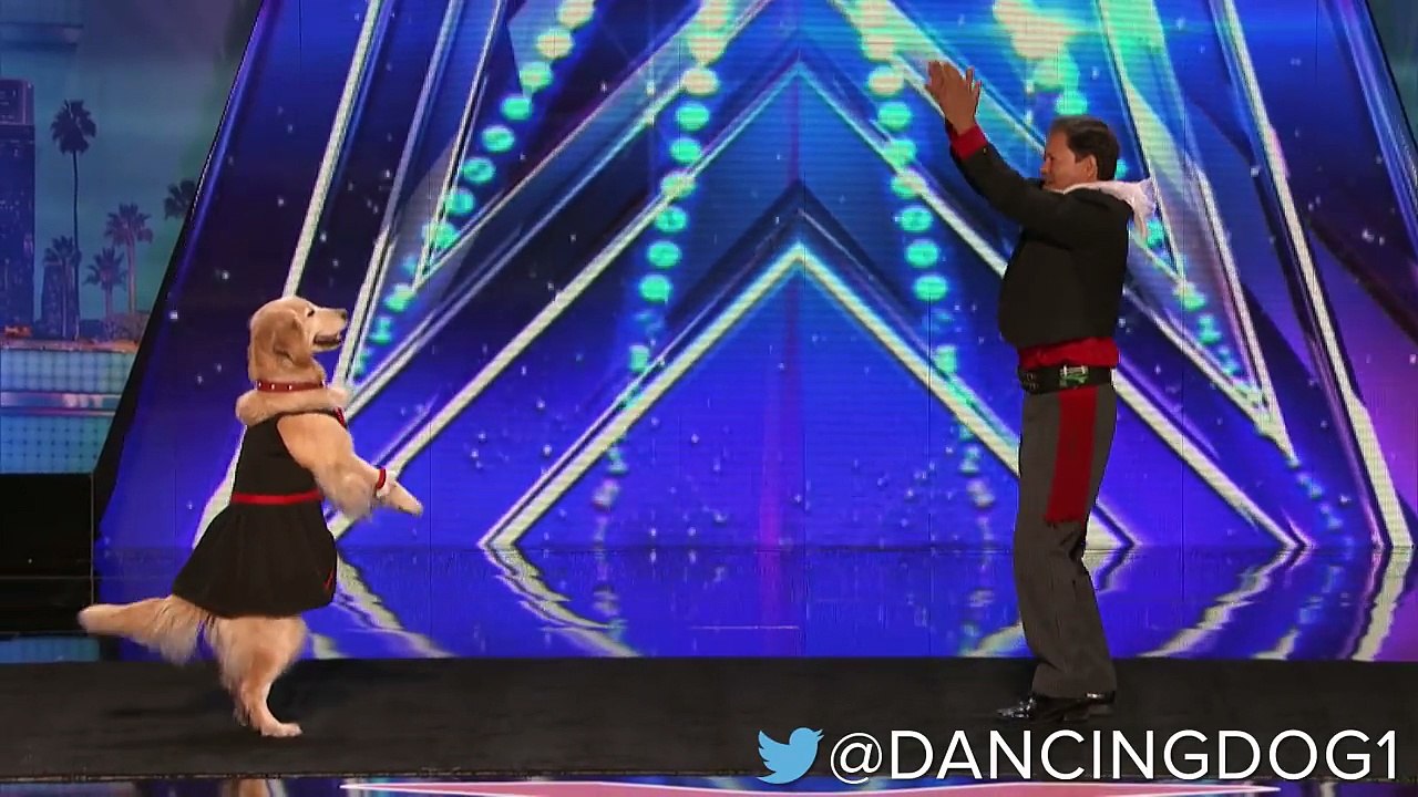 Carrie the Dancing Dog Offers an Exclusive Interview America's Got Talent 2016 (Extra)