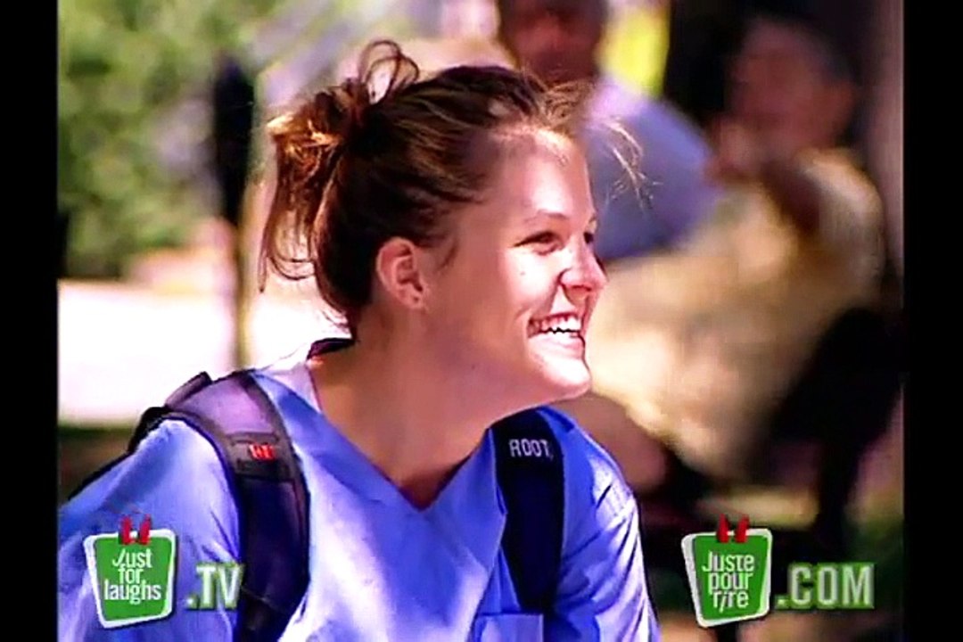 Driving Dog Prank - Just For Laughs Gags