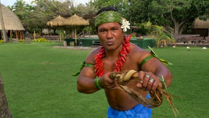 Comment escalader un Cocotier Explications hilarantes !