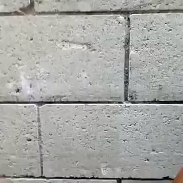 How Black girls fight VS How White girls fight