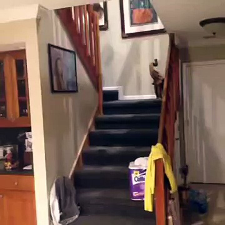 Look Mom No Hands