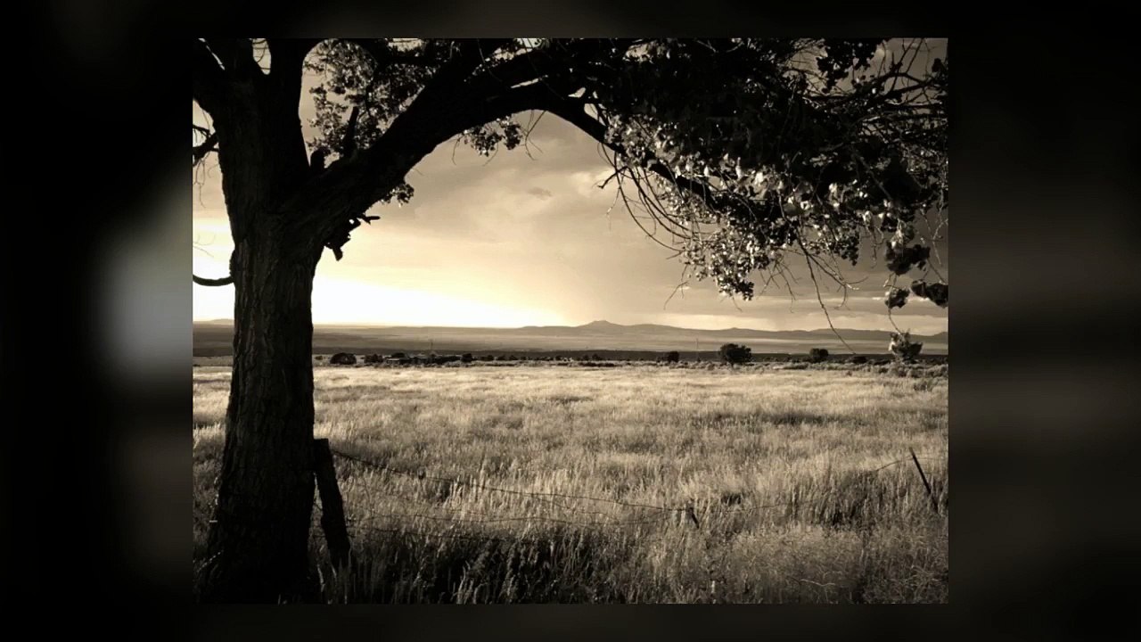 Charles Bukowski  Allora Capisco Perchè