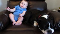 Bébé est en train de faire caca dans son pyjama, mais regardez bien la réaction du chien! Hilarant!