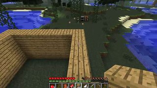 Minecraft Let's Play: Episode 1: The first Night