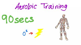 The Body in Motion - Aerobic and Anaerobic Training