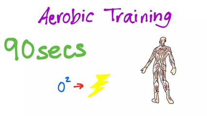 The Body in Motion - Aerobic and Anaerobic Training