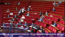 2ème séance publique : Loi Sapin II et protection des métiers de l'artisanat