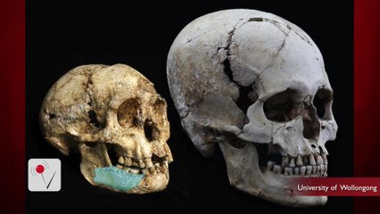 New Evidence Of Hobbit Sized Humans Found