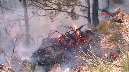 Datça'da Alevler 1 Hektar Kızılçam Ormanını Küle Çevirdi