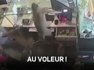 Insolite : un singe voleur de billets !