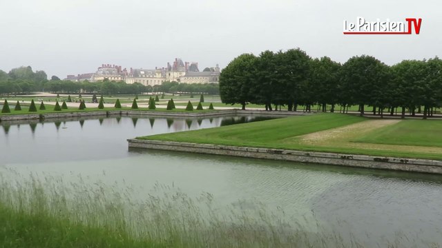 Le festival Django Reinhardt déménage au château de Fontainebleau
