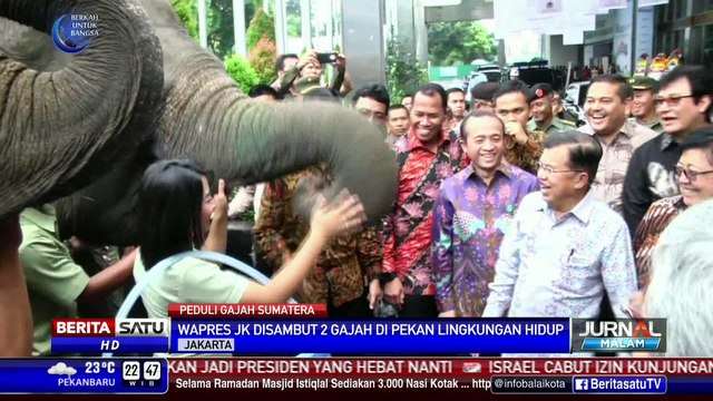 2 Ekor Gajah Sambut JK di Pekan Lingkungan Hidup