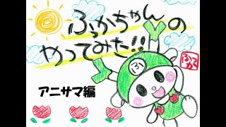 ふっかちゃんのやってみたvol.29（アニサマに出演編）