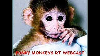 funky monkeys rt webcast 17