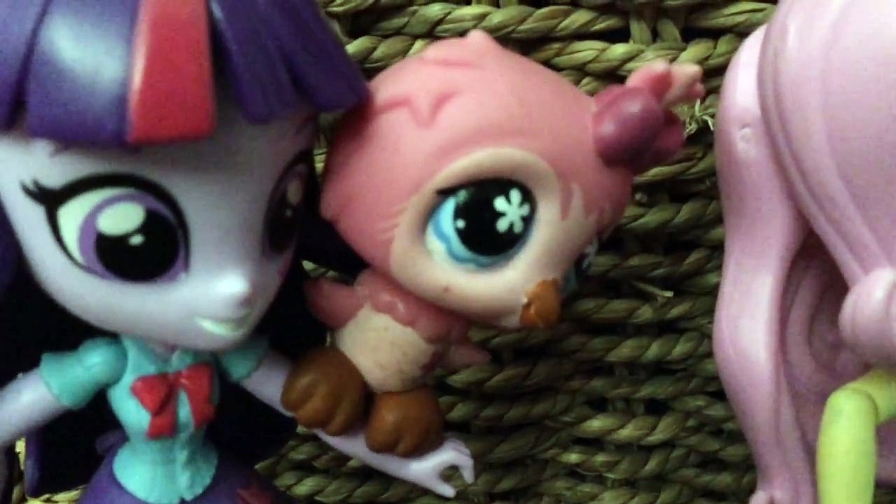Eg Mlp Mini Fluttershy And Twilight Explore LPS Blind Bag Opening