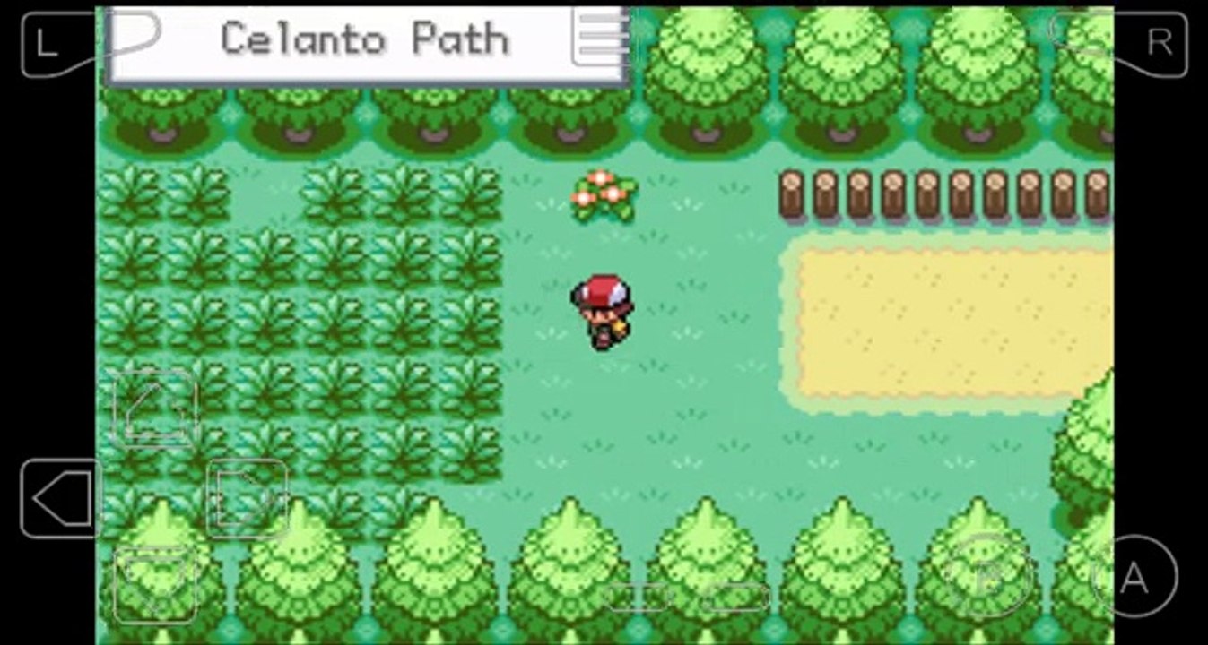 Pokemon Gaia Shiny Zigzagoon!