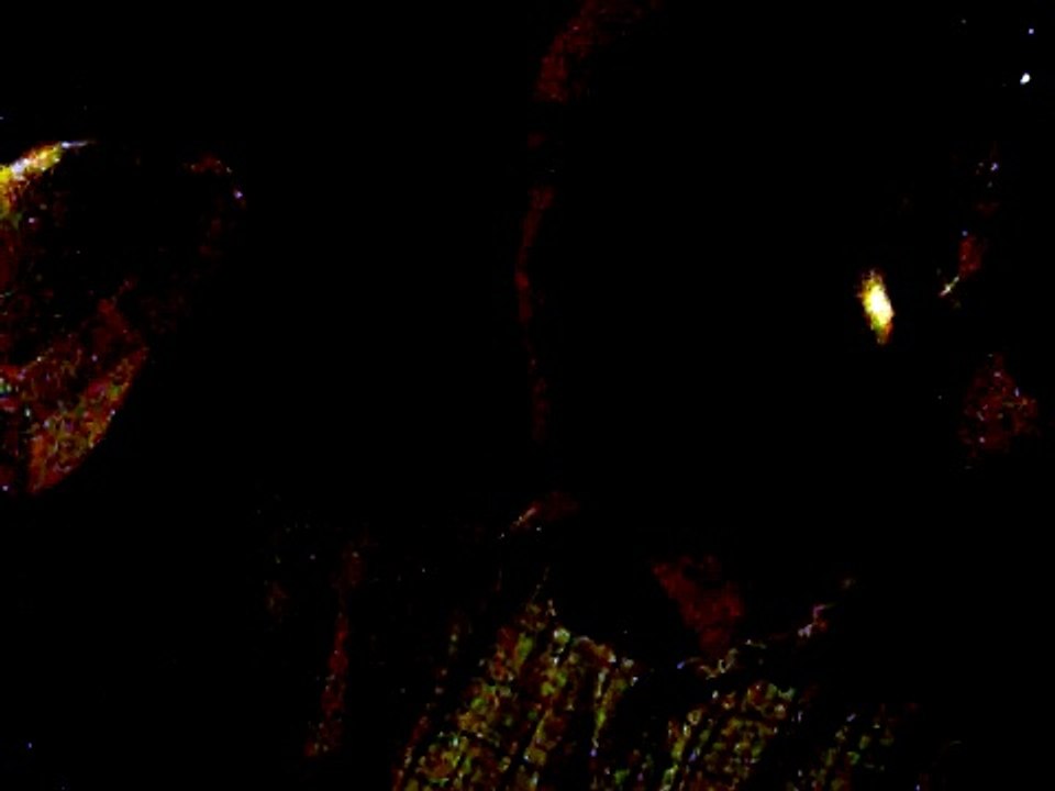 wir sind weltmeister?