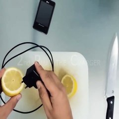 How to Charge Your Mobile With Lemon