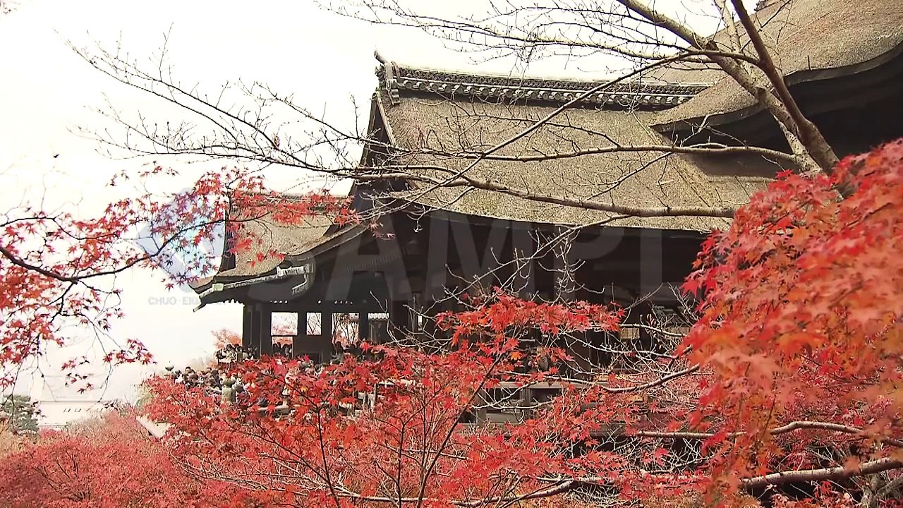 J0001 11月28日京都清水寺&嵐山 15M