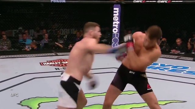 Michael Bisping Viciously KOs Luke Rockhold at UFC 199